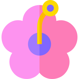 Hibiscus icon