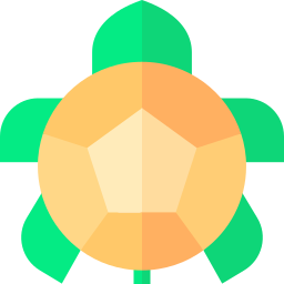 Tortoise icon