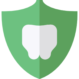 Protection icon