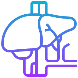 Liver organ icon