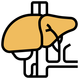 Órgano del hígado icono