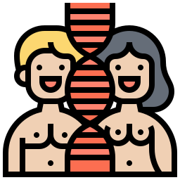 pareo icono