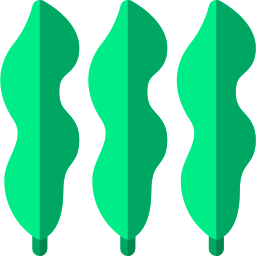 Kelp icon