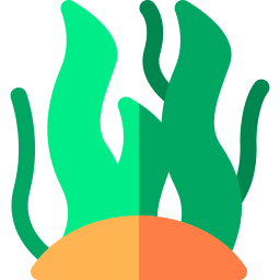 Seaweed icon