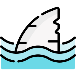 Shark icon