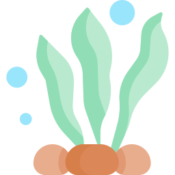 Seaweed icon