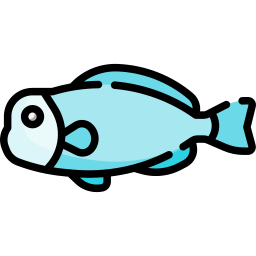 Fish icon