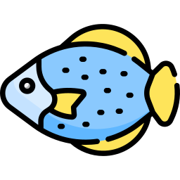 fisch icon