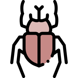 Rhinoceros beetle icon