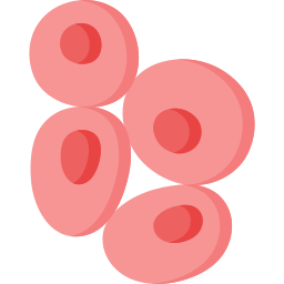globuli rossi icona