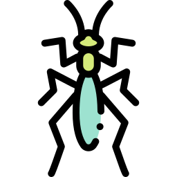 カマキリ icon