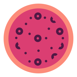 coronavirus icon