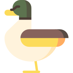 Duck icon