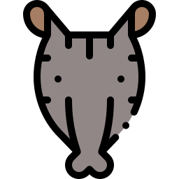 tapiro icona