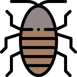 syczący karaluch z madagaskaru ikona