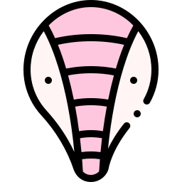 rosado icono