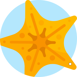 Starfish icon