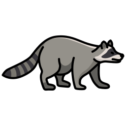 Raccoon icon