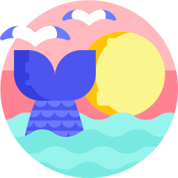 Dolphin icon