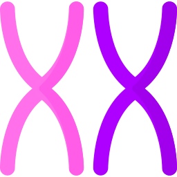 chromosome Icône