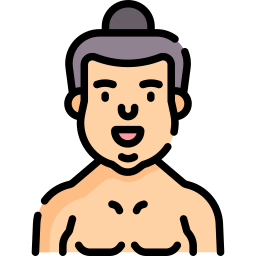 sumo icono