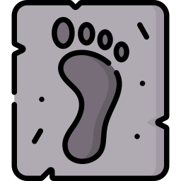 Footprint icon