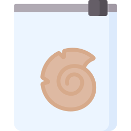 fossile Icône