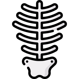 Skeleton icon