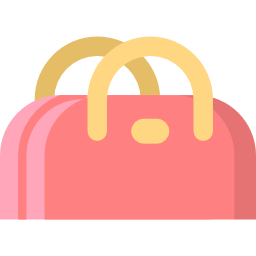 Hand bag icon