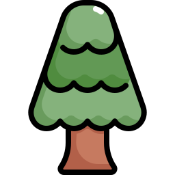 pinheiro Ícone