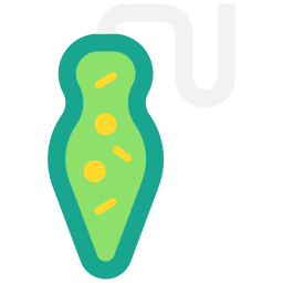 Euglena icon