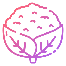 Cauliflower icon