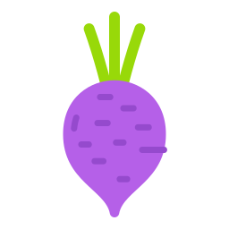 Beet icon