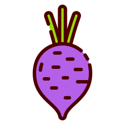 Beet icon