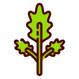 Parsley icon