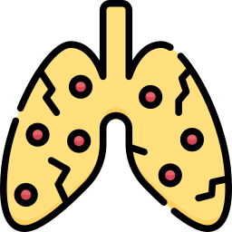 Lungs icon