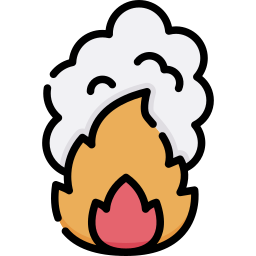 Fire icon