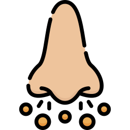 Nose icon