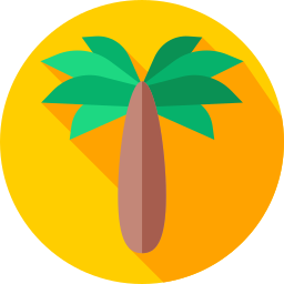 palmera icono