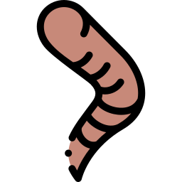hirudoterapia icono
