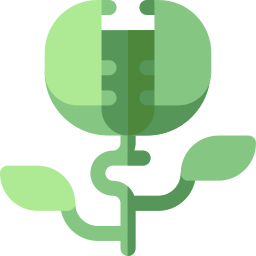 pianta carnivora icona
