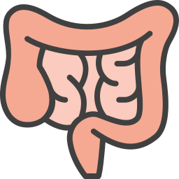 digestión icono