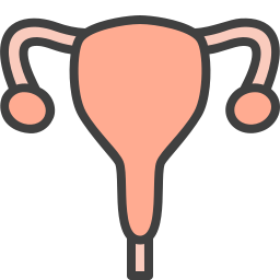 ovarios icono