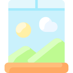 Window icon