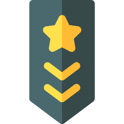 Military rank icon