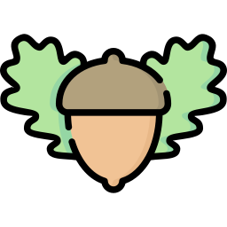 Oak icon