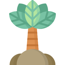palm icoon