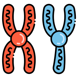 cadena de cromosomas icono