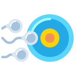 Reproductive process icon