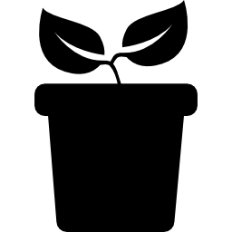 plant met twee bladeren op een zijaanzicht van een pot icoon